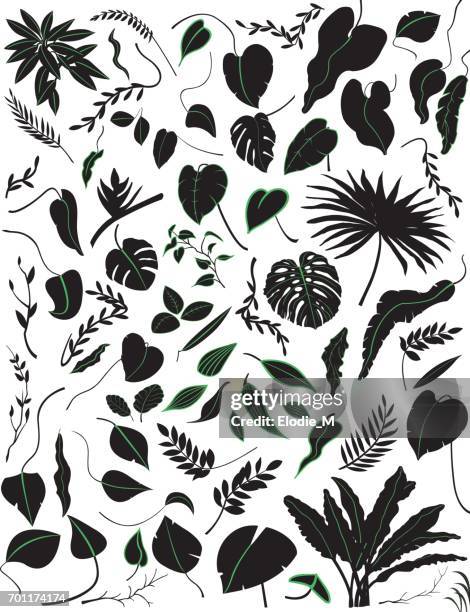 tropical silhouettes plants / leaves and shaded tropical plants - liana stock illustrations