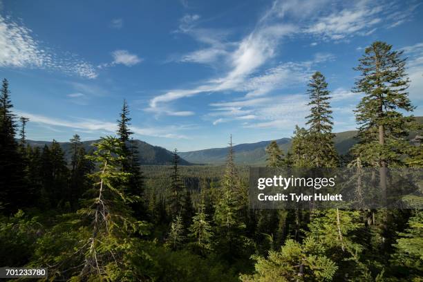 upper hood river valley - oregon wilderness stock pictures, royalty-free photos & images