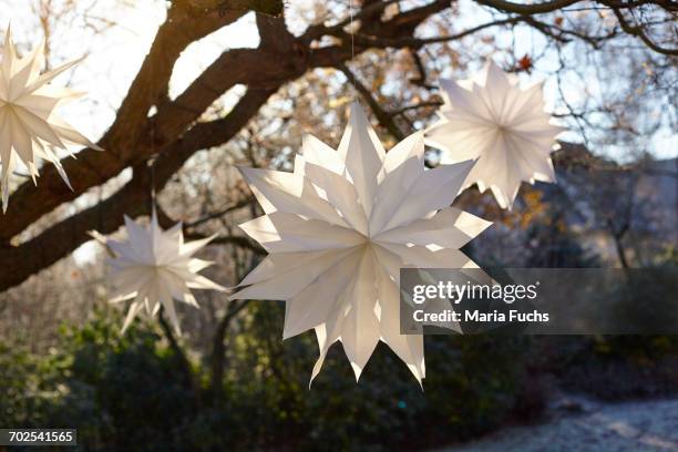 white handmade paper stars hanging from sunlit tree branches - origami tree stock pictures, royalty-free photos & images