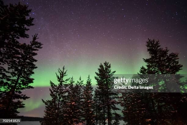northern lights over lapland forest, jukkasjarvi, sweden - aurora borealis kiruna stockfoto's en -beelden