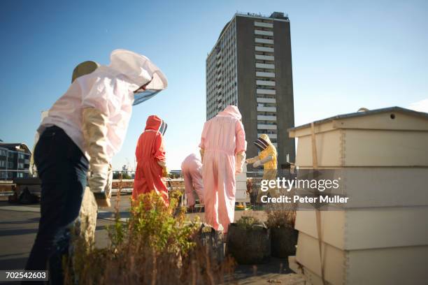 beekeepers tending aviary on city rooftop - beekeeping stock pictures, royalty-free photos & images