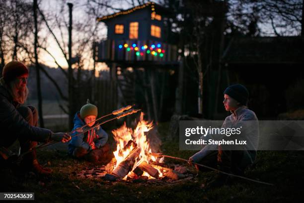 mature woman and two sons toasting marshmallows on campfire at night - tree house stock pictures, royalty-free photos & images