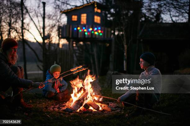 mature woman and two sons toasting marshmallows on campfire at night - camp fire - fotografias e filmes do acervo