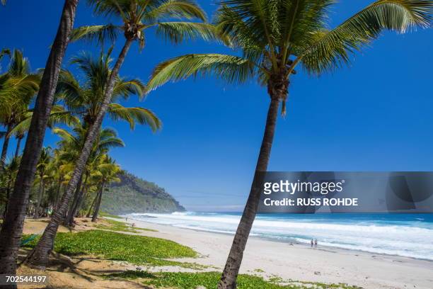 beach landscape with palm trees and indian ocean, reunion island - la reunion stock pictures, royalty-free photos & images