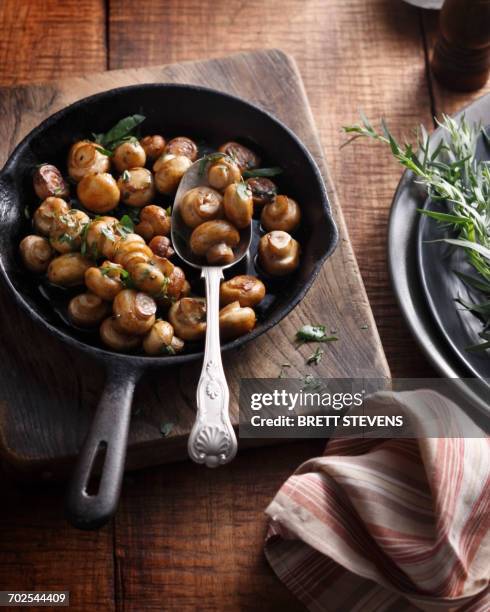 tarragon button mushrooms in frying pan - white mushroom photos et images de collection