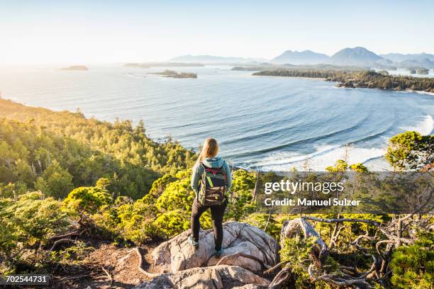 elevated view of female hiker looking out from coastal forest, pacific rim national park, vancouver island, british columbia, canada - pacific rim national park reserve stock pictures, royalty-free photos & images