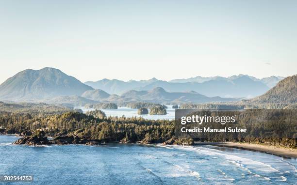 elevated coastal landscape, pacific rim national park, vancouver island, british columbia, canada - vancouver island fotografías e imágenes de stock