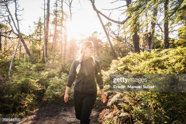 female hiker hiking through sunlit rainforest, pacific rim national park, vancouver island, british columbia, canada - vancouver canada photos et images de collection