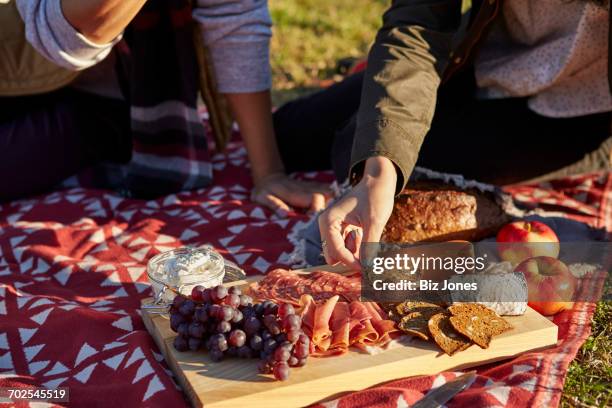 cropped view of couple preparing fresh picnic food on cutting board in park - food abundance stock pictures, royalty-free photos & images