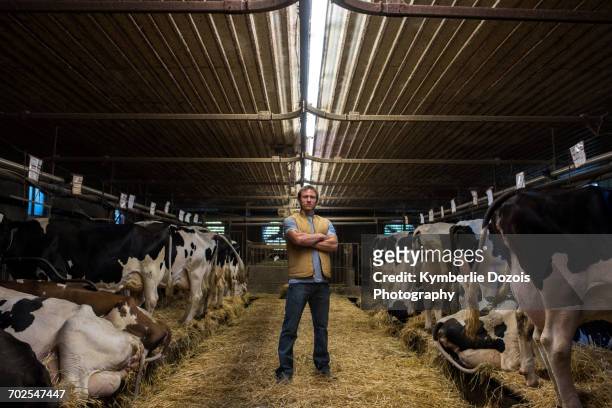 portrait of farmer in cow shed - cowshed stock pictures, royalty-free photos & images