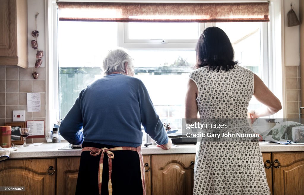 Mother and adult daughter washing dishes together