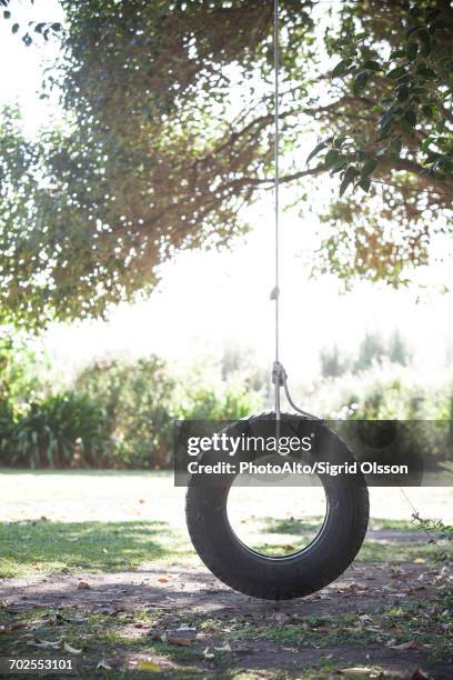 tire swing hanging from tree branch - tyre swing stock pictures, royalty-free photos & images