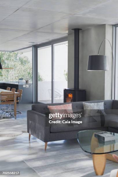 168 Modern Wood Burning Stoves Stock Photos, High-Res Pictures, and ...