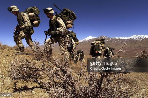 Army soldiers from the 4/31 10th Mountain Division hike March 14, 2002 in the rugged Shahi Kot mountains of Afghanistan as they search for caves or...