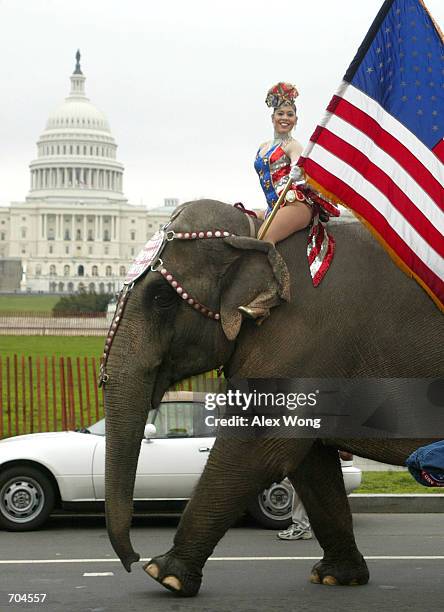 Performer from the Ringling Brothers and Barnum & Bailey Circus rides on an elephant passing by Capitol Hill March 18, 2002 in Washington, DC. The...