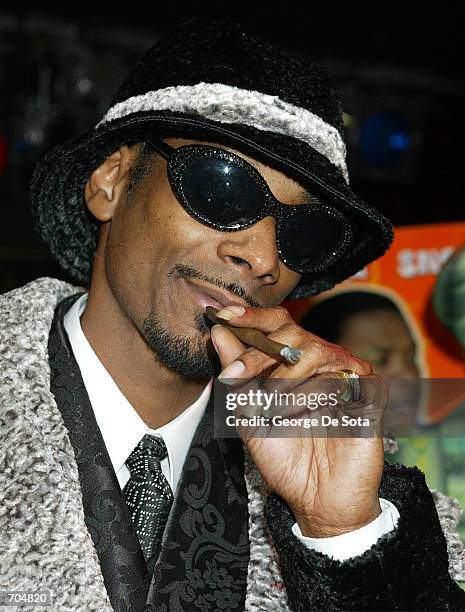 Actor and rapper Snoop Doggy Dogg attends The 3rd Annual Stonys presented by High Times magazine March 3 at B.B. King Blues Bar and Grill in New York...