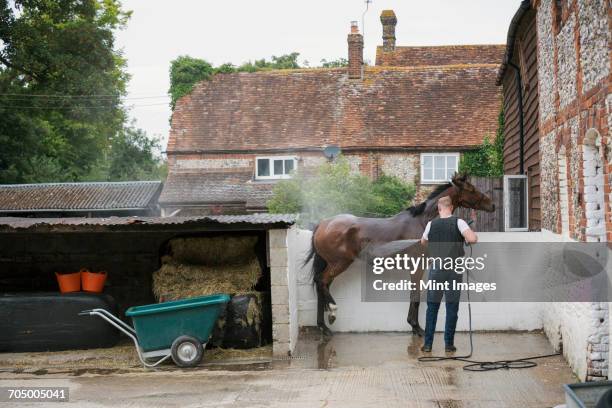 Man Stable 281 Stable Wagon Stock Photos, High-Res Pictures, and Images - Getty Images