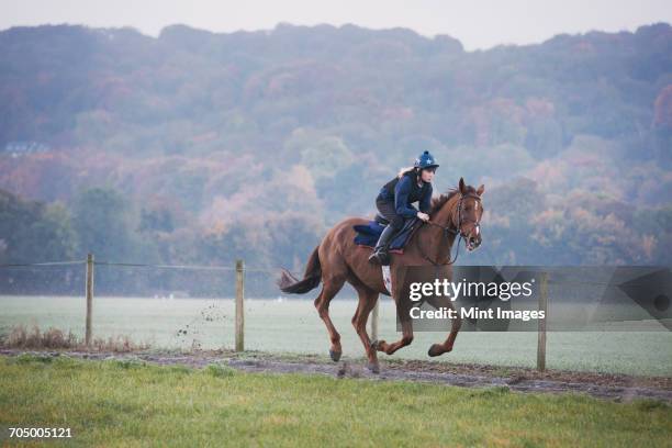 woman galloping on a thoroughbred race horse along a path through a field. - rural england stock pictures, royalty-free photos & images