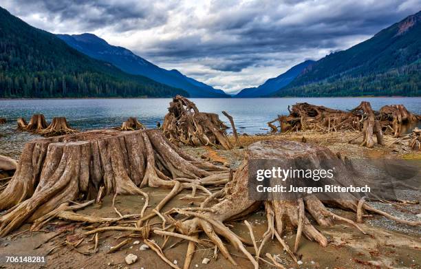 Buttle Range Buttle Lake Photos and Premium High Res Pictures - Getty Images