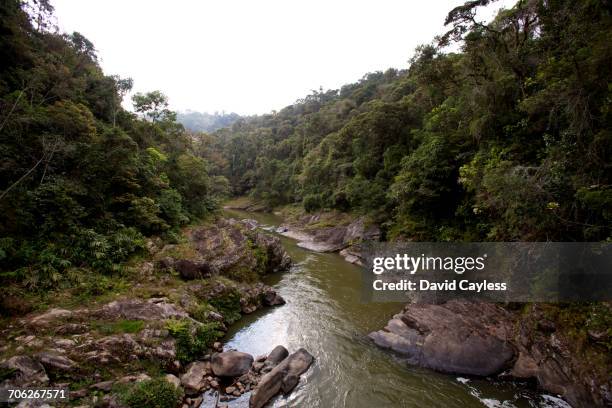 namorana river - ranomafana stock pictures, royalty-free photos & images