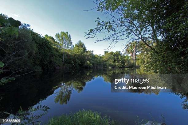 landscape reflections - long beach california landscape stock pictures, royalty-free photos & images