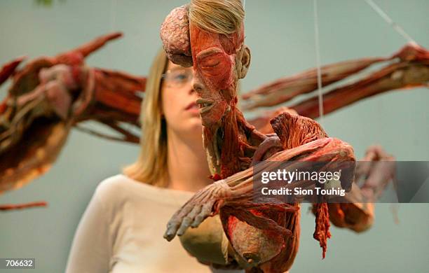 Biochemist Carrie Ann McDonnell looks at a flayed human female specimen at the Body Worlds exhibition March 22, 2002 at the Truman Brewery gallery in...