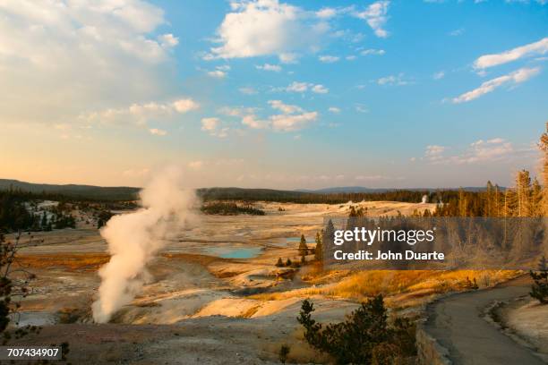 steam rising from geyser in yellowstone national park, wyoming, united states - yellowstone national park stock pictures, royalty-free photos & images