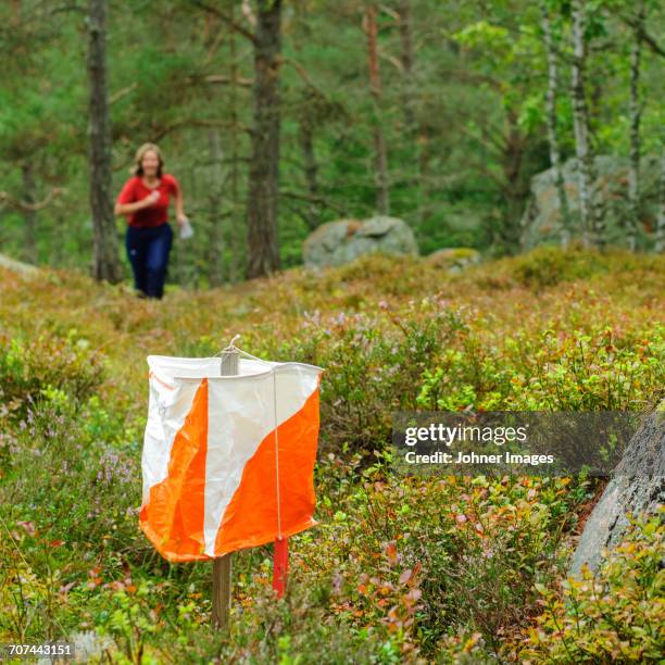 woman running in forest - orienteering run stock pictures, royalty-free photos & images