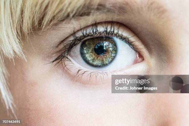 136 Boy With Blonde Hair And Green Eyes Photos and Premium High Res Pictures - Getty Images 136 Boy With Blonde Hair And Green Eyes Photos and Premium High Res Pictures - Getty Images