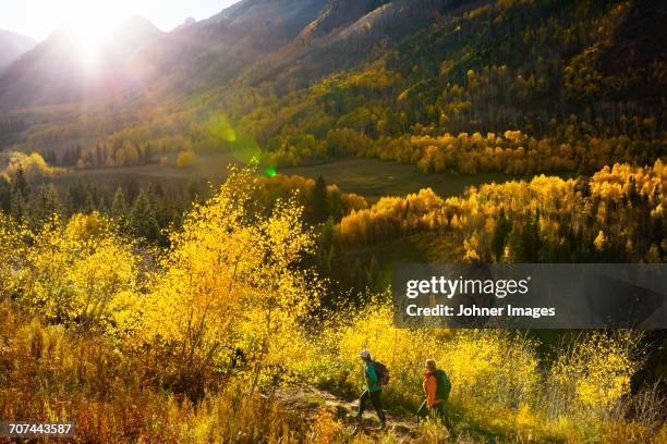 tourists hiking in mountain scenery - aspen trees stock pictures, royalty-free photos & images