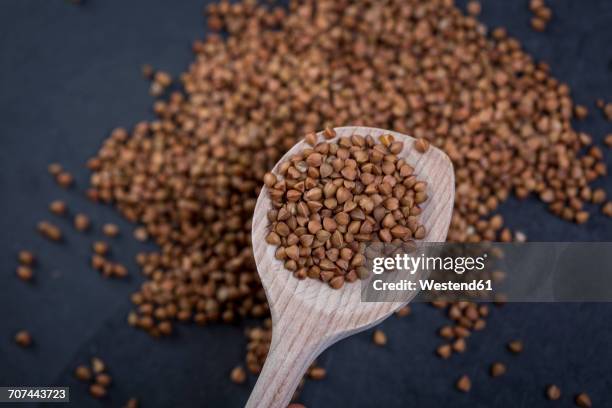 raw buckwheat grains on wooden cooking spoon - boekweit stockfoto's en -beelden