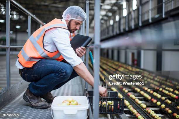 man sorting out apples in food processing plant - voedselveiligheid stockfoto's en -beelden