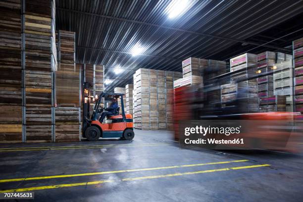 man on forklift in factory hall - rushes plant stock pictures, royalty-free photos & images