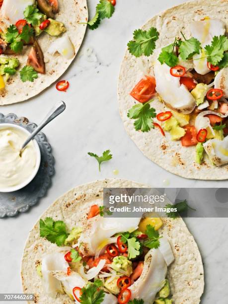 tortillas - coriandre fond blanc photos et images de collection