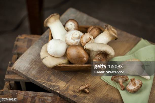 wooden bowl of different mushrooms - エリンギ ストックフォトと画像