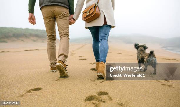 low section of couple walking on the beach with dog in winter - coastal feature stock pictures, royalty-free photos & images