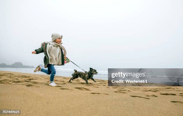 happy girl running with dog on the beach on a foggy winter day - day 5 imagens e fotografias de stock