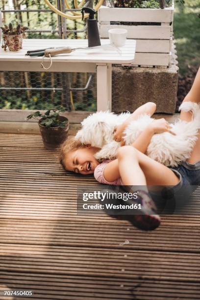 happy girl playing with dog on wooden terrace - hundeartige stock-fotos und bilder