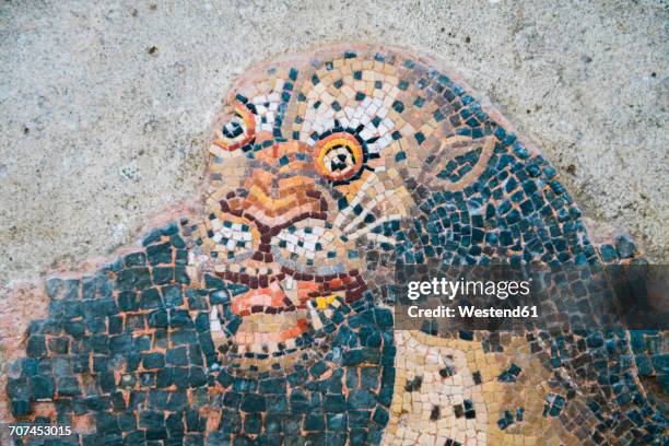 greece, mykonos, delos, mosaic of a lion - mosaic greek stock pictures, royalty-free photos & images