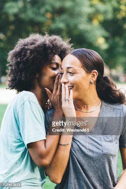 two young women whispering in a park - gossip stock pictures, royalty-free photos & images