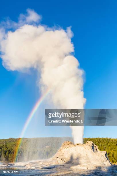 usa, wyoming, yellowstone national park, upper geyser basin, castle geyser erupting - geyser ストックフォトと画像
