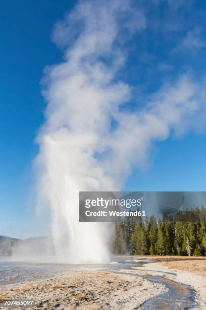 usa, wyoming, yellowstone national park, daisy geysir erupting - daisy geyser stock pictures, royalty-free photos & images