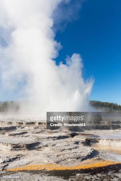 usa, wyoming, yellowstone national park, lower geyser basin, firehole lake drive, great fountain geyser - great fountain geyser stock pictures, royalty-free photos & images
