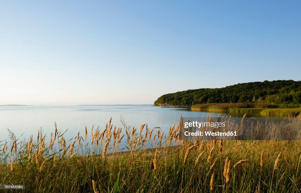 Germany, Ruegen, Kleiner Jasmunder Bodden