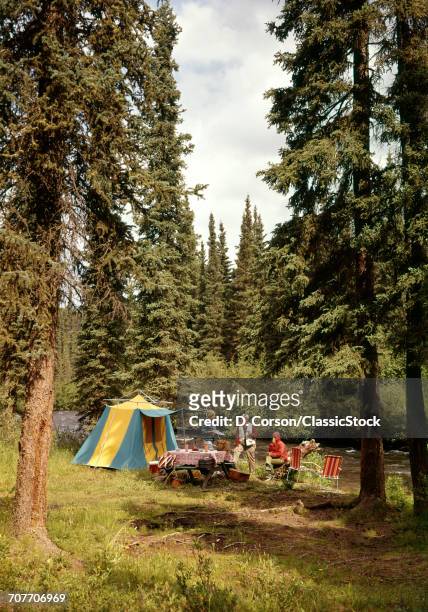 1970s FAMILY CAMPING IN PINE FOREST BESIDE STREAM