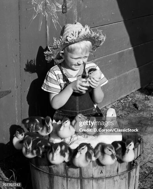 1950s FARM BOY HOLDING DUCKLING SITTING BY BASKED FILLED WITH MOTHER DUCK AND BABIES