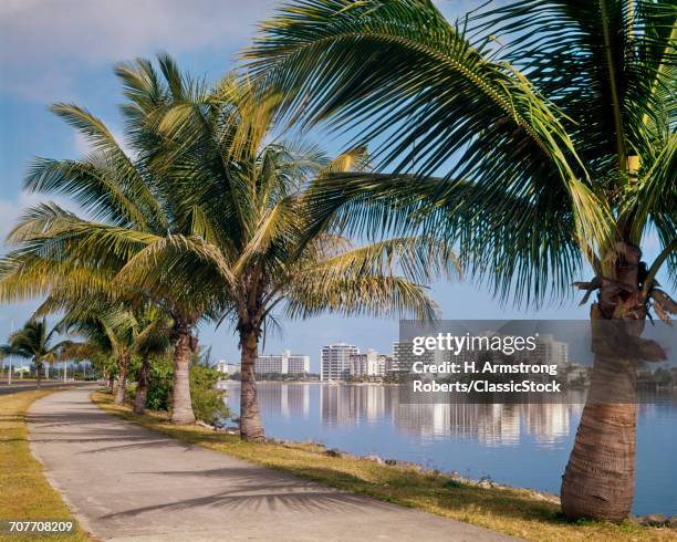 1960s VIEW OF CONDADO BEACH HOTELS FROM PALM TREE LINED ROAD SAN JUAN PUERTO RICO