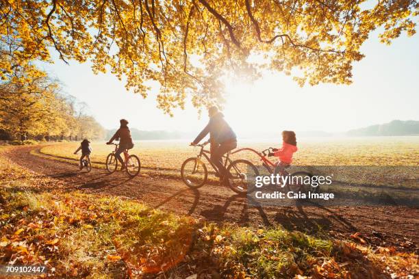 Young family bike riding in sunny autumn park