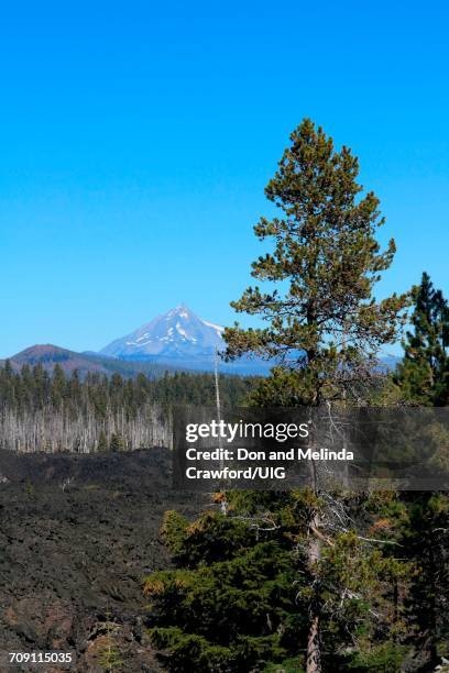 mount jefferson in the cascade mountains of oregon - willamette national forest stock pictures, royalty-free photos & images