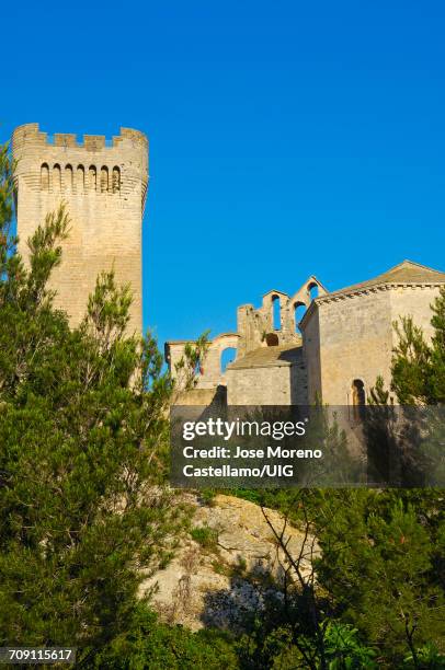 montmajour abbey near arles, provence, france - abbey of montmajour stock pictures, royalty-free photos & images